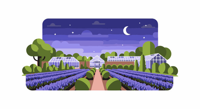 Serene lavender garden with greenhouses under a starry night sky
