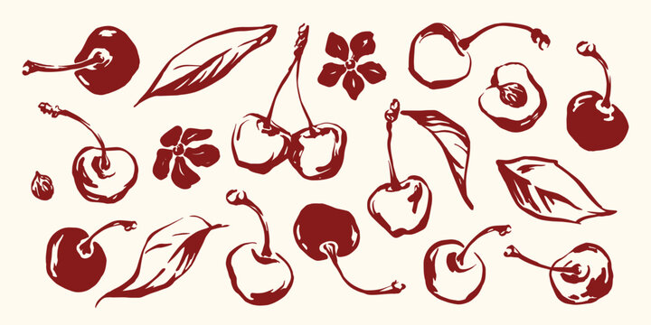 Cherry hand drawn ink line sketches set with berries, leaves and flowers. Isolated vector summer fruit elements collection.