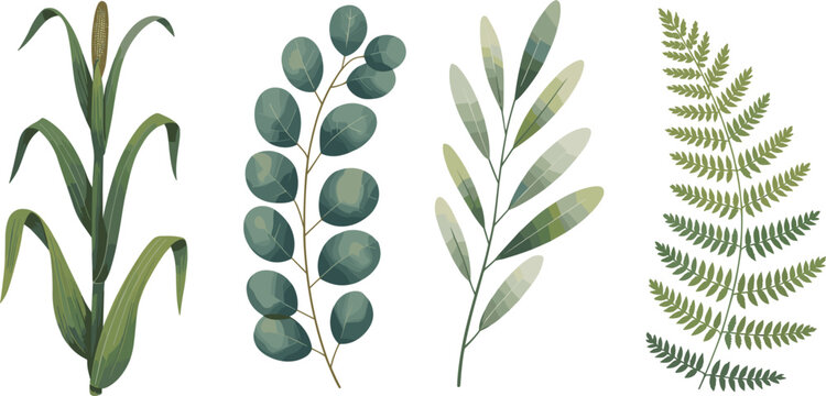 Botanical leaves set vector eucalyptus fern corn plant foliage collection natural greenery illustration decorative elements modern design