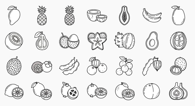 Collection of Outline Icons Representing Various Exotic and Tropical Fruits in a Clean Line Art Style