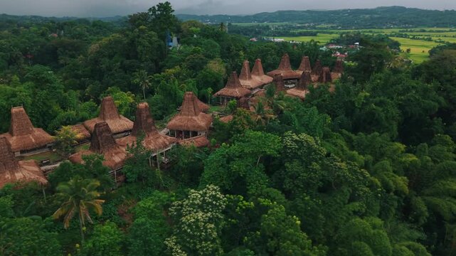 Unique traditional ancestral village houses with thatched roofs in a lush green jungle landscape