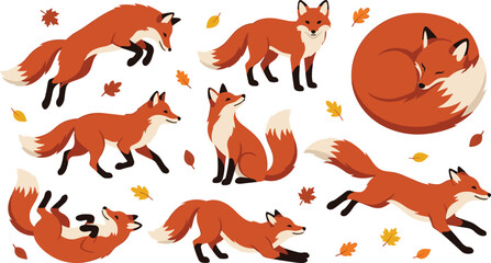 Obraz premium Cute Fox Character Collection with Different Poses and Actions, Cartoon Woodland Animal Set with Running, Sleeping, Sitting, Playing Autumn Theme Vector Illustration Design.