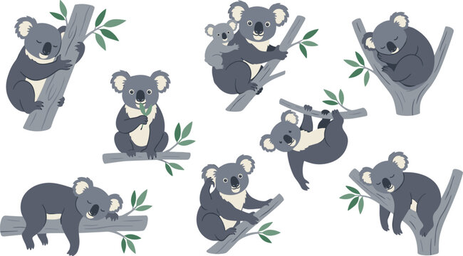 Cute Koala Character Set with Various Poses and Expressions, Cartoon Australian Wildlife Animals Climbing Trees, Hanging, Sitting Vector Illustration Design.