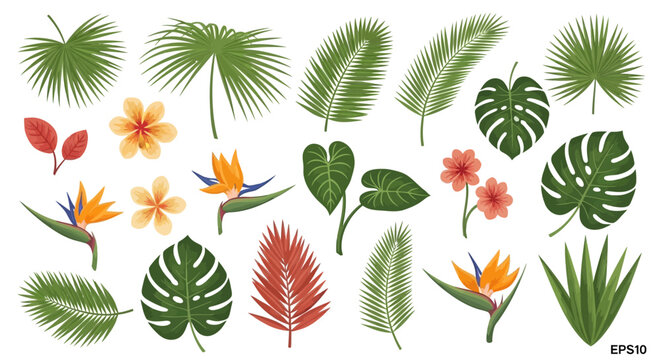 Tropical leaves and flowers illustration.