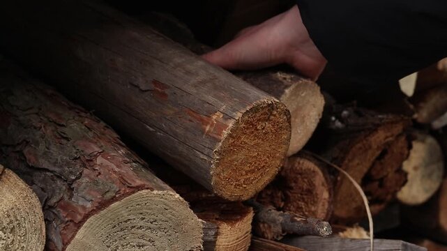 Close-up of a hand taking wood from a pile of prepared firewood. Concept of fuel harvesting, home heating and rural life. A woman's hand selects and takes a log from a pile, close-up