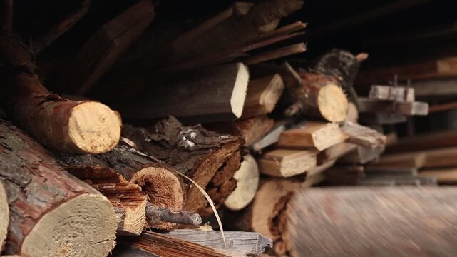 Close-up of a hand taking wood from a pile of prepared firewood. Concept of fuel harvesting, home heating and rural life. A woman's hand selects and takes a log from a pile, close-up