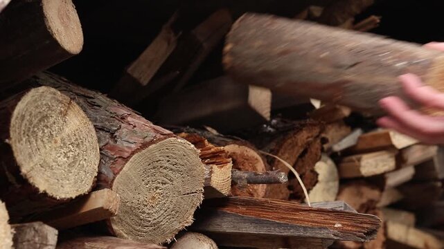 Close-up of a hand taking wood from a pile of prepared firewood. Concept of fuel harvesting, home heating and rural life. A woman's hand selects and takes a log from a pile, close-up