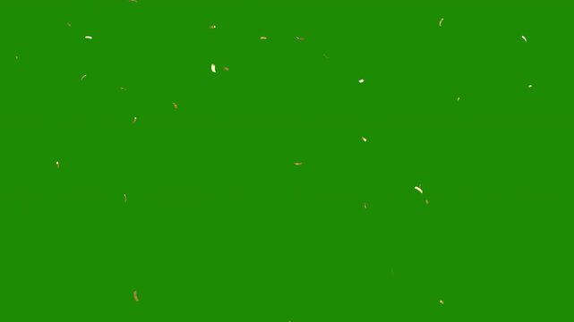 gold confetti video green background with alpha channel. gold confetti falling in slow motion 3d rendering gold confetti particle flying include alpha matte. Double burst of confetti.