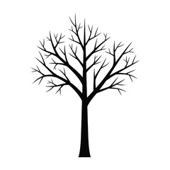 Fototapeta premium Bare tree silhouette on white background