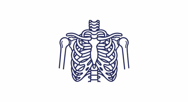 A simple, dark blue outline drawing of a human rib cage and upper arm bones