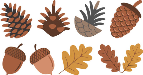 Autumn Forest Vector Set with Pinecones Acorns and Oak Leaves for Fall Seasonal Greetings Thanksgiving Decor and Botanical Graphic Design Layouts © tofajjol studio