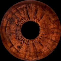 Close-up of human eye iris on black background, macro photography © Olga