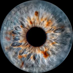 Close-up of human eye iris on black background, macro photography © Olga