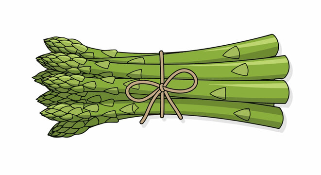 Bunch of green asparagus spears tied together with a string bow