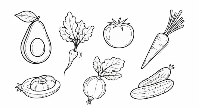 Line art collection of fresh vegetables including avocado, tomato, carrots, beets and cucumbers