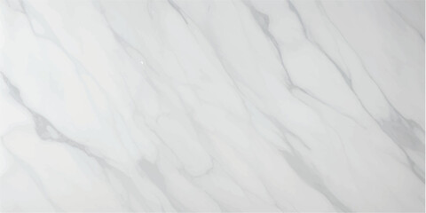 Obraz premium White marble texture with grey veins abstract background