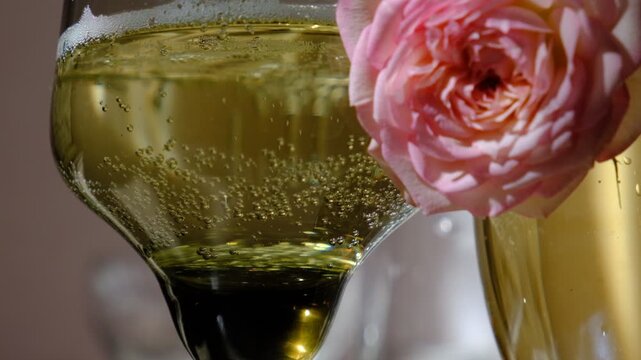 Flute of champagne, prosecco. Bubbles surge upward from the depths,  Each bubble catching the light like tiny, fleeting jewels. Rising, shining, popping &mdash; pure celebration in a glass. Happy Holidays!