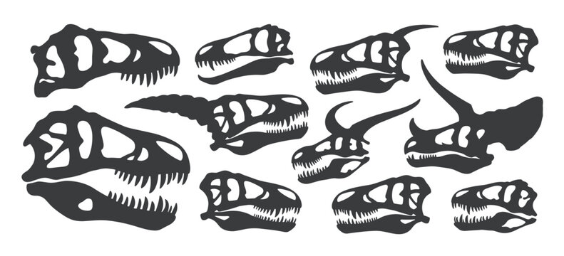 Collection of dark grey dinosaur skull silhouettes on white background prehistoric ancient fossil