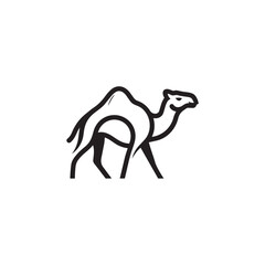 Fototapeta premium Stylized black line art drawing of a dromedary camel with black and white
