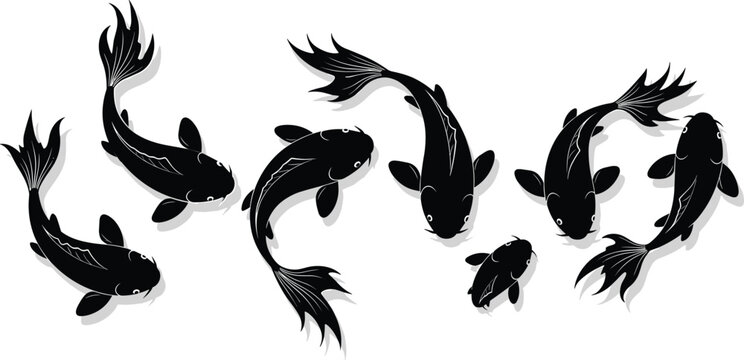 Elegant Japanese Koi Carp Fish Black Silhouettes Vector Illustration Set with Traditional Zen Design Elements for Asian Theme Artistic Background.