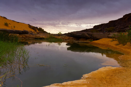 Splendid oasis with a small lake, Mauritania
