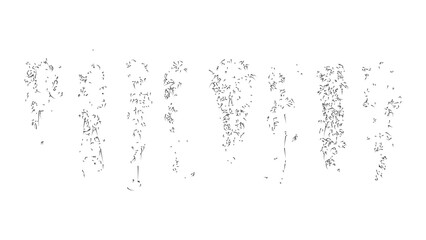 Decorative elements of hanging plant vines with leafy textures in minimalist line sketch. © Sara Studio
