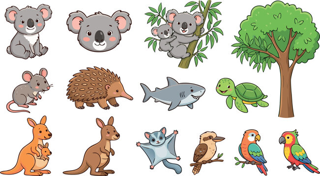 Cute Australian Wildlife Animal Character Set Featuring Koala Kangaroo Kookaburra Platypus And Sugar Glider Illustrations