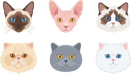 Fototapeta premium Cat Head Icon Set with Various Breeds, Cute Cat Faces, and Pet Illustrations for Vector Design Projects