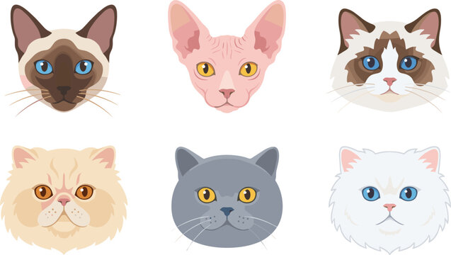Cat Head Icon Set with Various Breeds, Cute Cat Faces, and Pet Illustrations for Vector Design Projects