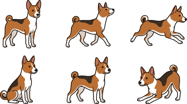 Basenji Dog Poses Illustration Set with Standing, Walking, Running, Sitting, and Playing Positions for Pet and Canine Design