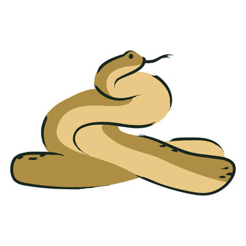 Illustration of a snake about to attack