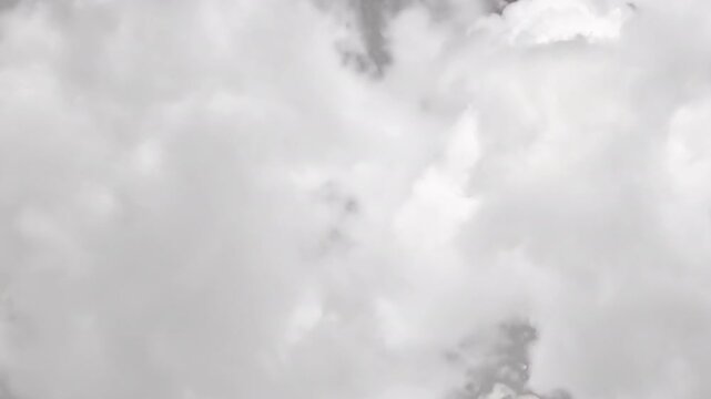 A seamless transition featuring real moving white clouds. The footage completely covers the screen for a clean wipe effect. Includes transparent alpha channel for easy drag-and-drop integration.