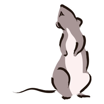 Playful animal illustration of a standing rat
