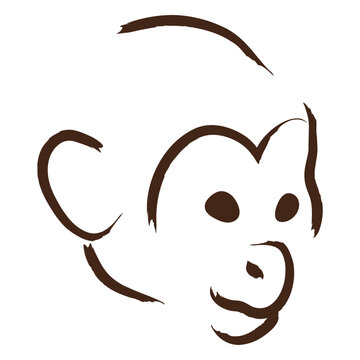 Brown monkey head