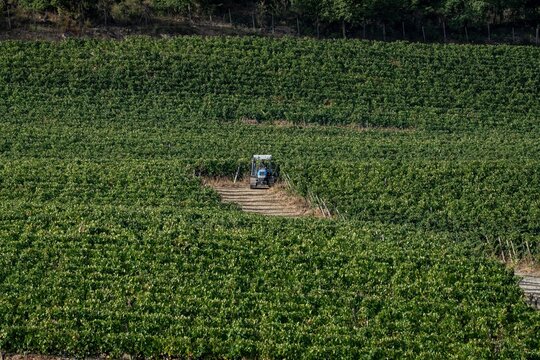 Aerial view of Tortona Hills Colli Tortonesi with a tractor working in a lush green vineyard across the rolling agricultural landscape in Tortona, Piedmont, Italy.