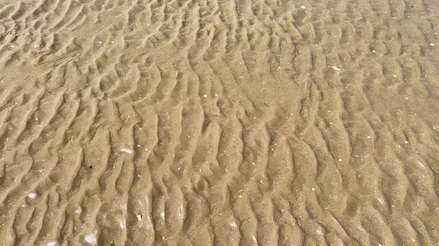 Sand ripples formed by the sea waves on the beach at low tide, creating natural patterns in the sand. Foot healthy routes