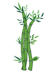Obraz premium Green bamboo stalks with leaves illustration on a transparent background