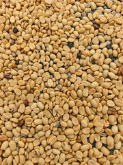 Fototapeta premium Close-up of unroasted green coffee beans drying in natural light, showing raw texture and organic coffee processing for agriculture and roasting themes