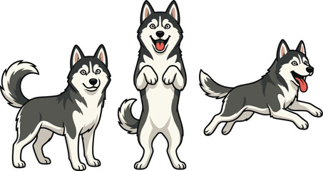 Cute Siberian Husky Dog Illustration Set with Standing, Jumping, and Begging Poses for Pet, Animal, and Canine Design © MdSumon