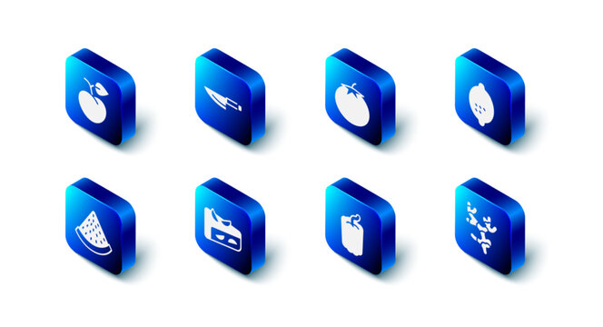 Set Knife, Tomato, Lemon, Ginger root, Bell pepper, Homemade fruit pie, Watermelon and Peach or nectarine icon. Vector