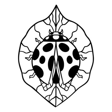 Intricate ladybug and leaf illustration