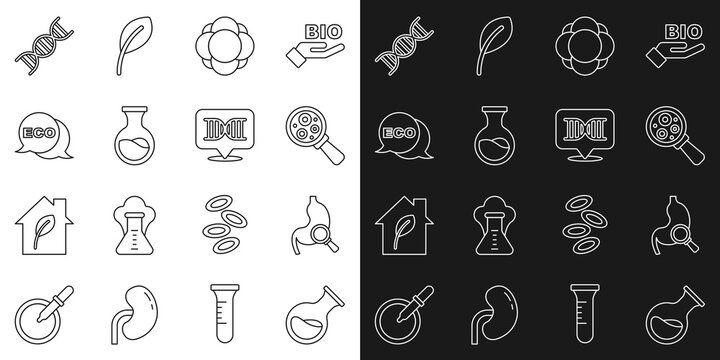 Set line Test tube and flask, Stomach with magnifying glass, Microorganisms under magnifier, Molecule, Label for eco healthy food, DNA symbol and icon. Vector