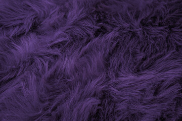Fototapeta premium Luxurious dark purple fluffy soft faux fur textile texture close up background pattern