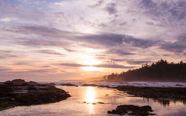Fototapeta premium Vancouver island