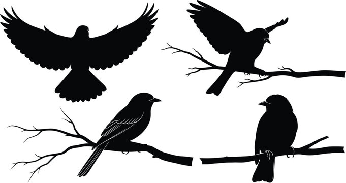 Four black silhouette birds on branches and in flight against white background