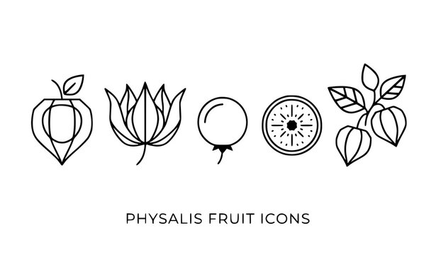 Minimal physalis fruit icon set with husk peeled and slice vector outline illustration