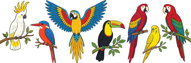Tropical Bird Collection with Colorful Parrots, Toucan, and Kingfisher © MdTobarak