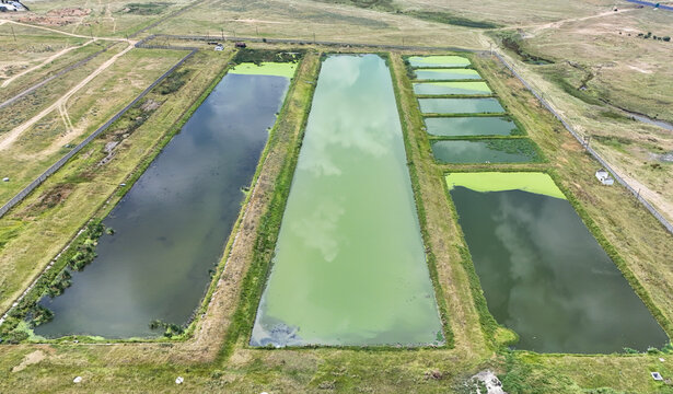 Aerial view of rectangular oxidation ponds with green algae and water reflections surrounded by dry grassland near the Vaal River in Villiers, Free State, South Africa.