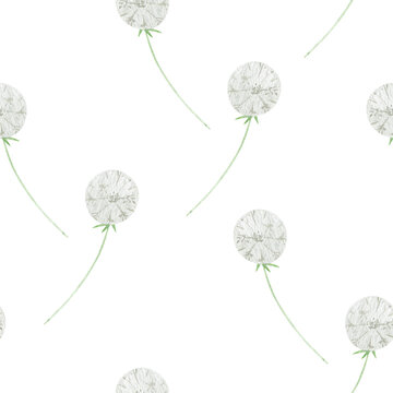 Watercolor simple white dandelion. Seamless pattern with wildflowers, dandelion seeds.