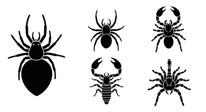 Set of Insect Silhouettes: Spider, Scorpion, and Arachnid Icons